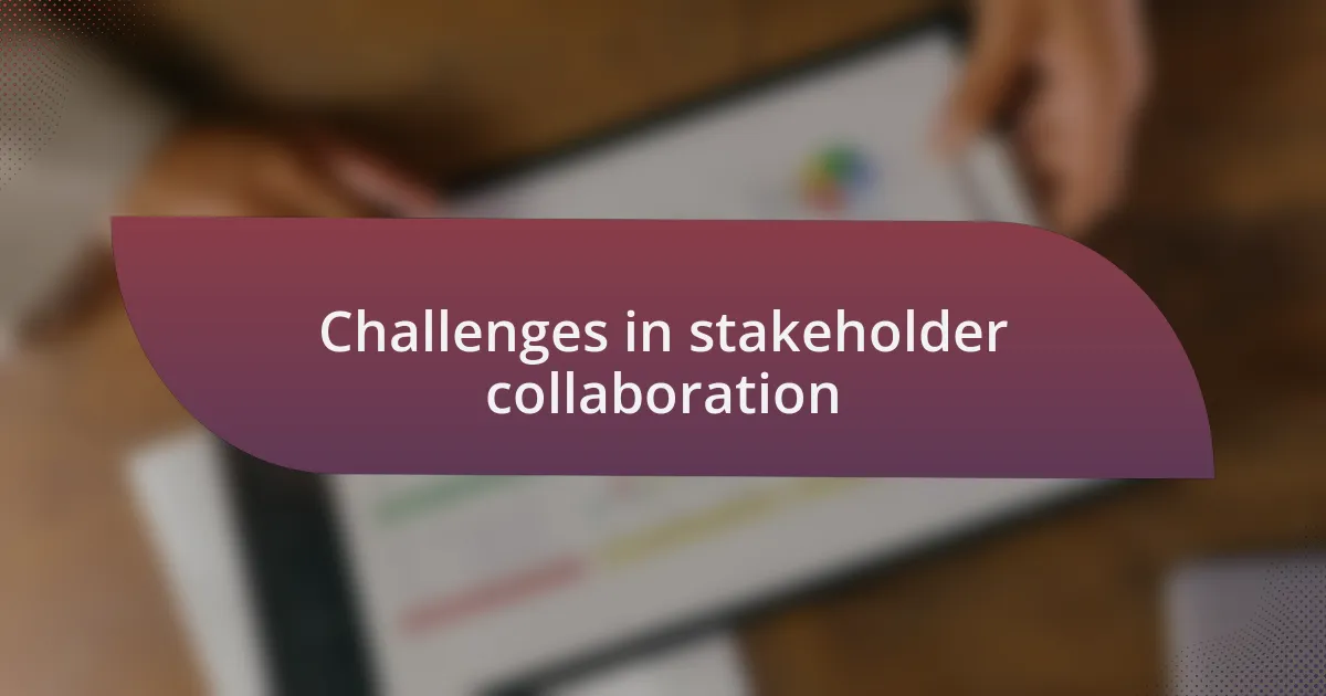 Challenges in stakeholder collaboration